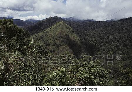 High angle view of a valley, Silent Valley National Park, Palakkad District, Kerala, India View Large Photo Image Stock Photography - High angle view of a valley, Silent Valley National Park, Palakkad District, Kerala, India. Fotosearch