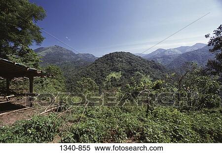 Hut in a forest, Western Ghats, Silent Valley National Park, Palakkad District, Kerala, India View Large Photo Image Stock Photography - Hut in a forest, Western Ghats, Silent Valley National Park, Palakkad District, Kerala, India. Fotosearch