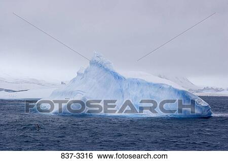 Stock Photograph - Iceberg with penguins in the sea. Fotosearch