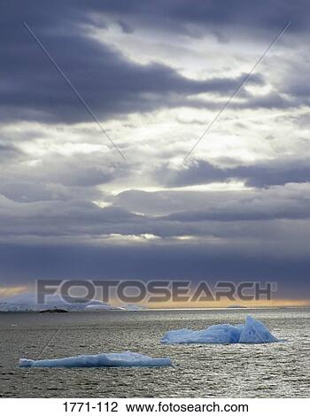 Icebergs floating in the sea, Paradise Bay, Antarctic Peninsula, Antarctica View Large Photo Image Stock Image - Icebergs floating in the sea, Paradise Bay, Antarctic Peninsula, Antarctica. Fotosearch