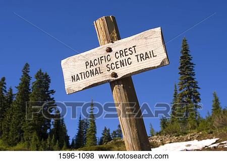 Stock Photo - Information board on a log, Pacific Crest Trail, Mather Memorial Parkway, Wenatchee National Forest, Washington State, USA. Fotosearch