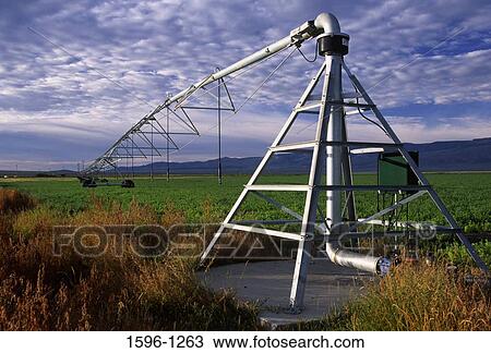 Irrigation pipe over a field, Cass County, Idaho, USA View Large Photo Image Stock Image - Irrigation pipe over a field, Cass County, Idaho, USA. Fotosearch