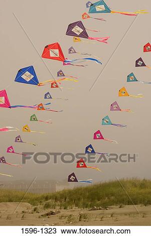Kites flying in the sky, Sand and Sawdust Festival, Ocean Shores, Washington State, USA View Large Photo Image Stock Image - Kites flying in the sky, Sand and Sawdust Festival, Ocean Shores, Washington State, USA. Fotosearch