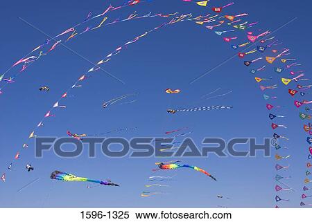 Kites flying in the sky, Sand and Sawdust Festival, Ocean Shores, Washington State, USA View Large Photo Image Stock Photography - Kites flying in the sky, Sand and Sawdust Festival, Ocean Shores, Washington State, USA. Fotosearch