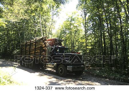 Logging truck passing through a forest, New Hampshire, USA View Large Photo Image Stock Photo - Logging truck passing through a forest, New Hampshire, USA. Fotosearch