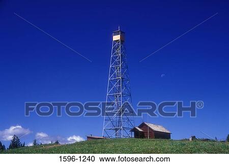 Low angle view of a lookout tower on a hill, Umatilla National Forest, Washington State, USA View Large Photo Image Stock Image - Low angle view of a lookout tower on a hill, Umatilla National Forest, Washington State, USA. Fotosearch