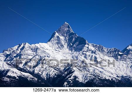 Low angle view of a mountain covered with snow, Mt Machhapuchhre, Pokhara, Nepal View Large Photo Image Stock Image - Low angle view of a mountain covered with snow, Mt Machhapuchhre, Pokhara, Nepal. Fotosearch