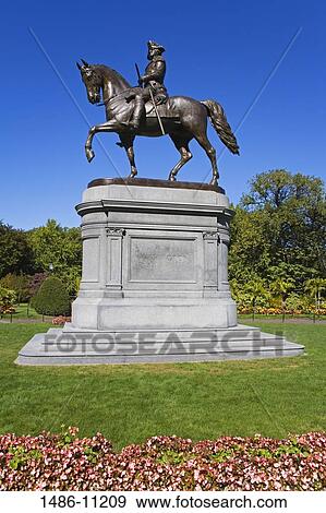 Low angle view of a statue in a park, George Washington Statue, Public Garden, Boston, Massachusetts, USA View Large Photo Image Stock Photo - Low angle view of a statue in a park, George Washington Statue, Public Garden, Boston, Massachusetts, USA. Fotosearch