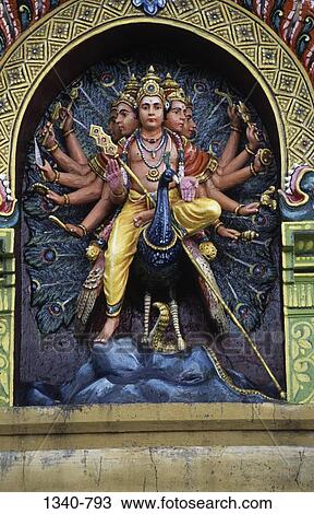 Low angle view of a statue of Lord Murugan, Chidambaram Temple, Chidambaram, Tamil Nadu, India View Large Photo Image Stock Image - Low angle view of a statue of Lord Murugan, Chidambaram Temple, Chidambaram, Tamil Nadu, India. Fotosearch