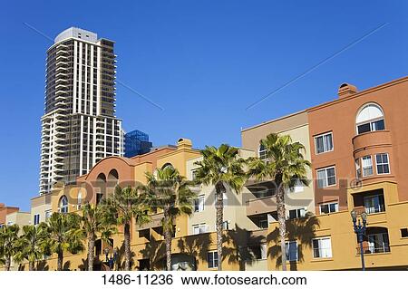 Low angle view of palm trees in front of buildings, Waterfront Apartments, San Diego, California, USA View Large Photo Image Stock Photograph - Low angle view of palm trees in front of buildings, Waterfront Apartments, San Diego, California, USA. Fotosearch
