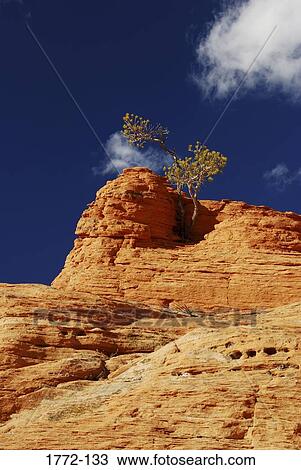 Low angle view of rock formations, Red Rock Canyon, Wyoming, USA View Large Photo Image Stock Image - Low angle view of rock formations, Red Rock Canyon, Wyoming, USA. Fotosearch