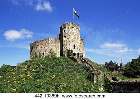 Low angle view of tourists entering into a castle, Cardiff Castle, Cardiff, Monmouthshire, Wales View Large Photo Image Stock Image - Low angle view of tourists entering into a castle, Cardiff Castle, Cardiff, Monmouthshire, Wales. Fotosearch