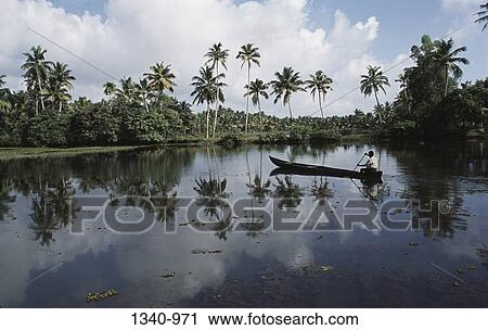 Man rowing a boat in a lake, Alappuzha, Alappuzha District, Kerala, India View Large Photo Image Stock Image - Man rowing a boat in a lake, Alappuzha, Alappuzha District, Kerala, India. Fotosearch
