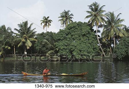 Man rowing a boat in a lake, Kerala, India View Large Photo Image Stock Photography - Man rowing a boat in a lake, Kerala, India. Fotosearch