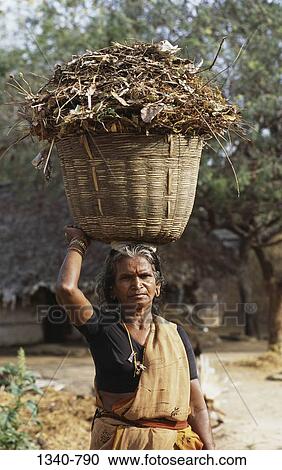 Mature woman carrying organic manure in a basket on her head, Tamil Nadu, India View Large Photo Image Stock Image - Mature woman carrying organic manure in a basket on her head, Tamil Nadu, India. Fotosearch