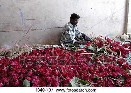 Stock Photo - Mid adult man making garlands in a temple, Kapaleeshwarar Temple, Mylapore, Chennai, Tamil Nadu, India. Fotosearch