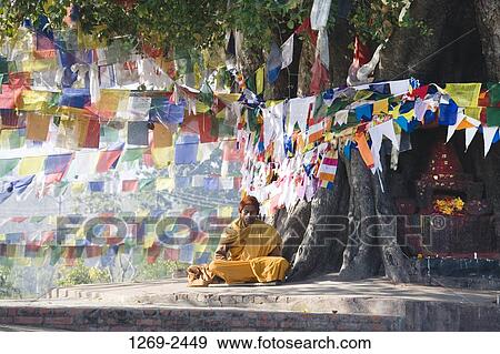 Monk sitting under a Bodhi tree, Maya Devi Temple, Lumbini, Nepal View Large Photo Image Stock Photo - Monk sitting under a Bodhi tree, Maya Devi Temple, Lumbini, Nepal. Fotosearch