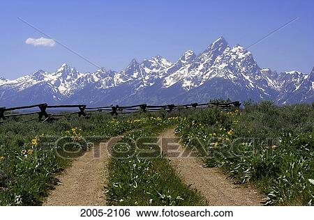 Panoramic view of a mountain range, Grand Teton National Park, Wyoming, USA View Large Photo Image Stock Photograph - Panoramic view of a mountain range, Grand Teton National Park, Wyoming, USA. Fotosearch