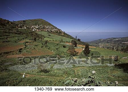 Panoramic view of a rolling landscape, Kalhatty Slopes, Nilgiris District, Tamil Nadu, India View Large Photo Image Stock Photo - Panoramic view of a rolling landscape, Kalhatty Slopes, Nilgiris District, Tamil Nadu, India. Fotosearch