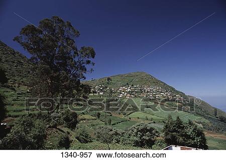 Panoramic view of a rolling landscape, Kalhatty Slopes, Nilgiris District, Tamil Nadu, India View Large Photo Image Stock Photo - Panoramic view of a rolling landscape, Kalhatty Slopes, Nilgiris District, Tamil Nadu, India. Fotosearch