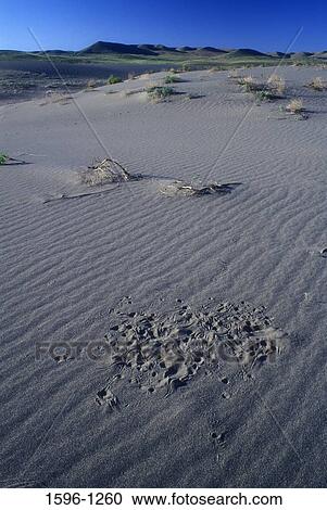 Stock Image - Panoramic view of an arid landscape, Bruneau Dunes State Park, Idaho, USA. Fotosearch