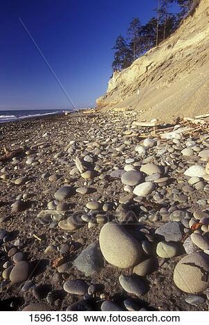 Pebbles on the beach, Dungeness National Wildlife Refuge, Washington State, USA View Large Photo Image Stock Photo - Pebbles on the beach, Dungeness National Wildlife Refuge, Washington State, USA. Fotosearch