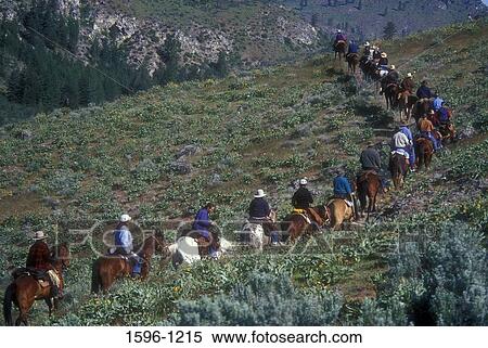 People riding horses up a hill, Okanogan County, Washington State, USA View Large Photo Image Stock Photography - People riding horses up a hill, Okanogan County, Washington State, USA. Fotosearch
