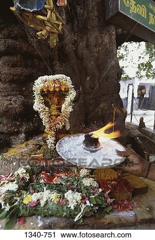 Person's hand worshipping a snake idol, Tamil Nadu, India View Large Photo Image Stock Image - Person's hand worshipping a snake idol, Tamil Nadu, India. Fotosearch