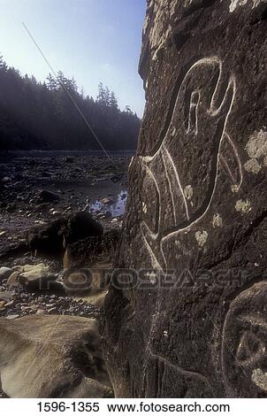 Stock Photography - Petroglyph of a Killer whale carved on a rock, Olympic National Park, Washington State, USA. Fotosearch