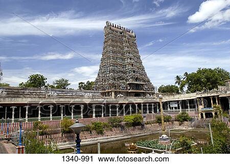 Pond in front of a temple, Golden Lotus Tank, Sri Meenakshi Hindu Temple, Madurai, Tamil Nadu, India View Large Photo Image Stock Image - Pond in front of a temple, Golden Lotus Tank, Sri Meenakshi Hindu Temple, Madurai, Tamil Nadu, India. Fotosearch
