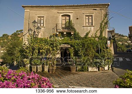 Potted plants in front of a house, Savoca, Sicily, Italy View Large Photo Image Stock Photograph - Potted plants in front of a house, Savoca, Sicily, Italy. Fotosearch
