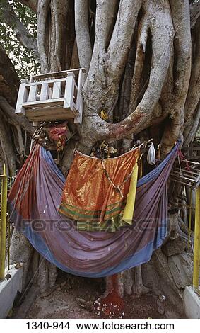 Prayer flags on a tree, Kandanur, Tamil Nadu, India View Large Photo Image Picture - Prayer flags on a tree, Kandanur, Tamil Nadu, India. Fotosearch