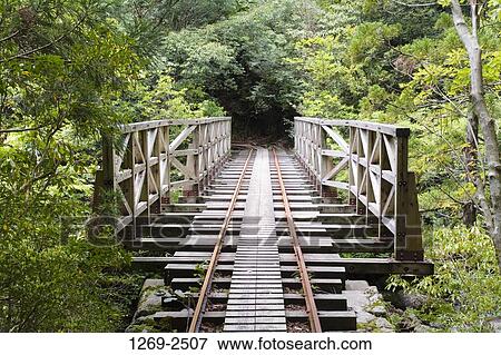 Railroad track passing through a bridge in a forest, Yakushima Island, Kagoshima Prefecture, Japan View Large Photo Image Stock Photo - Railroad track passing through a bridge in a forest, Yakushima Island, Kagoshima Prefecture, Japan. Fotosearch