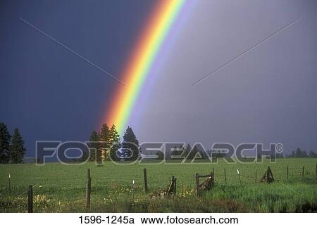 Rainbow over a ranch, Asotin County, Washington State, USA View Large Photo Image Stock Image - Rainbow over a ranch, Asotin County, Washington State, USA. Fotosearch
