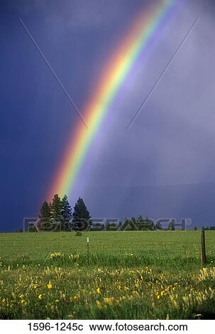 Rainbow over a ranch, Asotin County, Washington State, USA View Large Photo Image Stock Image - Rainbow over a ranch, Asotin County, Washington State, USA. Fotosearch