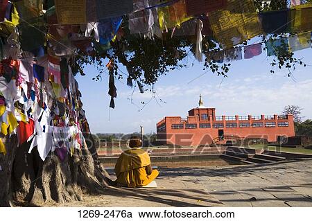 Rear view of a monk sitting under a Bodhi tree, Maya Devi Temple, Lumbini, Nepal View Large Photo Image Stock Image - Rear view of a monk sitting under a Bodhi tree, Maya Devi Temple, Lumbini, Nepal. Fotosearch