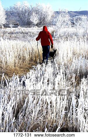 Rear view of a person hiking in a field with a dog, Wyoming, USA View Large Photo Image Stock Image - Rear view of a person hiking in a field with a dog, Wyoming, USA. Fotosearch