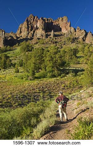 Rear view of a person standing in a forest, Pacific Crest Trail, Sonora Pass, Stanislaus National Forest, California, USA View Large Photo Image Stock Photo - Rear view of a person standing in a forest, Pacific Crest Trail, Sonora Pass, Stanislaus National Forest, California, USA. Fotosearch