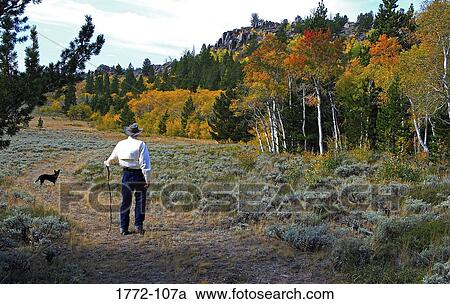 Rear view of a senior man standing in a park, Wind River Range, Wyoming, USA View Large Photo Image Stock Image - Rear view of a senior man standing in a park, Wind River Range, Wyoming, USA. Fotosearch