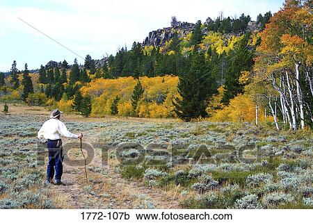 Rear view of a senior man standing in a park, Wind River Range, Wyoming, USA View Large Photo Image Stock Image - Rear view of a senior man standing in a park, Wind River Range, Wyoming, USA. Fotosearch