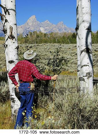 Rear view of a senior man standing in a park, Grand Teton National Park, Wyoming, USA View Large Photo Image Stock Photography - Rear view of a senior man standing in a park, Grand Teton National Park, Wyoming, USA. Fotosearch