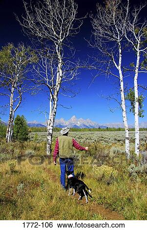 Rear view of a senior man walking in a park with a dog, Grand Teton National Park, Wyoming, USA View Large Photo Image Stock Photograph - Rear view of a senior man walking in a park with a dog, Grand Teton National Park, Wyoming, USA. Fotosearch