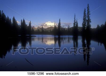 Reflection of a mountain in a lake, Mt Rainier, Tipsoo Lake, Mt Rainier National Park, Washington State, USA View Large Photo Image Stock Photograph - Reflection of a mountain in a lake, Mt Rainier, Tipsoo Lake, Mt Rainier National Park, Washington State, USA. Fotosearch