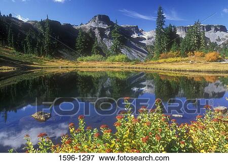 Reflection of a mountain in a lake, Table Mountain, Fire And Ice Trail, Mt Baker Scenic Byway, Mt Baker-Snoqualmie National Forest, Washington State, USA View Large Photo Image Stock Photo - Reflection of a mountain in a lake, Table Mountain, Fire And Ice Trail, Mt Baker Scenic Byway, Mt Baker-Snoqualmie National Forest, Washington State, USA. Fotosearch