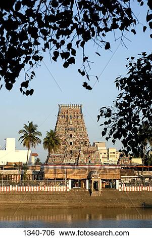 Reflection of a temple in a pond, Kapaleeshwarar Temple, Mylapore, Chennai, Tamil Nadu, India View Large Photo Image Stock Photograph - Reflection of a temple in a pond, Kapaleeshwarar Temple, Mylapore, Chennai, Tamil Nadu, India. Fotosearch