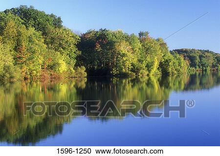 Stock Image - Reflection of trees in water, Batterson Park Pond, Batterson Park, New Britain, Connecticut, USA. Fotosearch