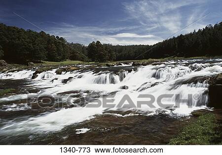 River flowing in a forest, Pykara Falls, Nilgiris District, Tamil Nadu, India View Large Photo Image Stock Image - River flowing in a forest, Pykara Falls, Nilgiris District, Tamil Nadu, India. Fotosearch