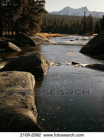Stock Image - River flowing through a forest, Dana Fork of the Tuolumne River, Yosemite National Park, California, USA. Fotosearch