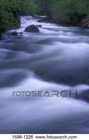 Stock Photograph - River passing through a forest, Payette National Forest, Idaho, USA. Fotosearch