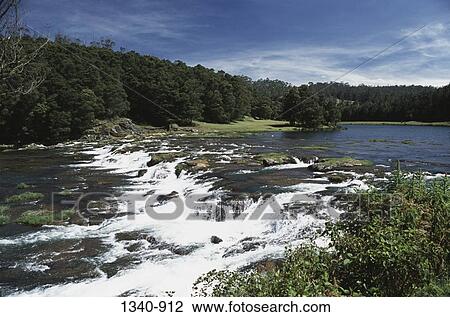River passing through a forest, Pykara Falls, Nilgiris, Tamil Nadu, India View Large Photo Image Stock Image - River passing through a forest, Pykara Falls, Nilgiris, Tamil Nadu, India. Fotosearch